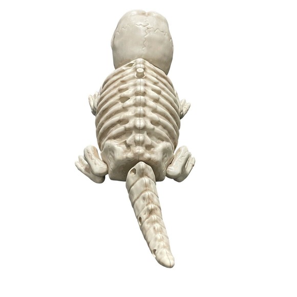 SEASONS CRAZY BONES 11" Long Alligator Skeleton Halloween Spooky Decorations - Picture 7 of 11